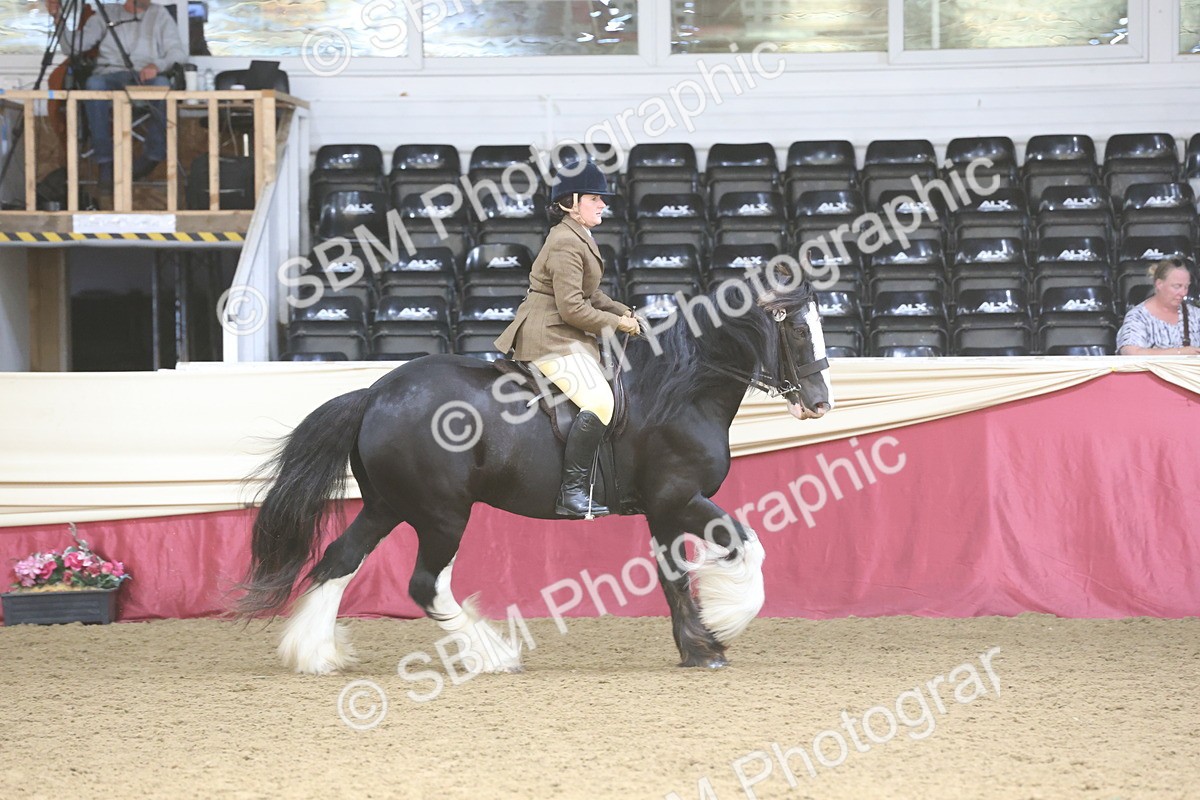 SBM_23803 - class 906 - Supreme Final - Ridden Pre Vet