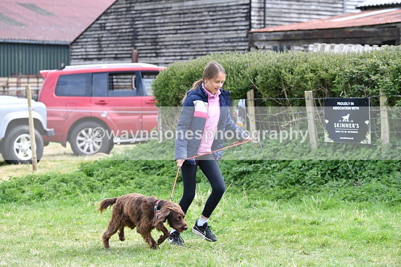 WJ5_9571 - Class 3 Most Handsome Dog