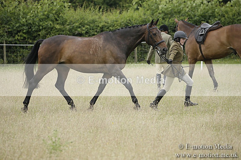 B230619-0776 - Bourne Valley Riding Club Summer Show 23/06/19