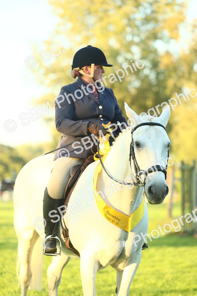 SBM_56518 - S14 - Riding Club Horse