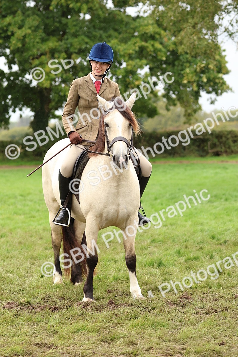 SBM_69614 - S62 - Mountain & Moorland Ridden Large Breeds