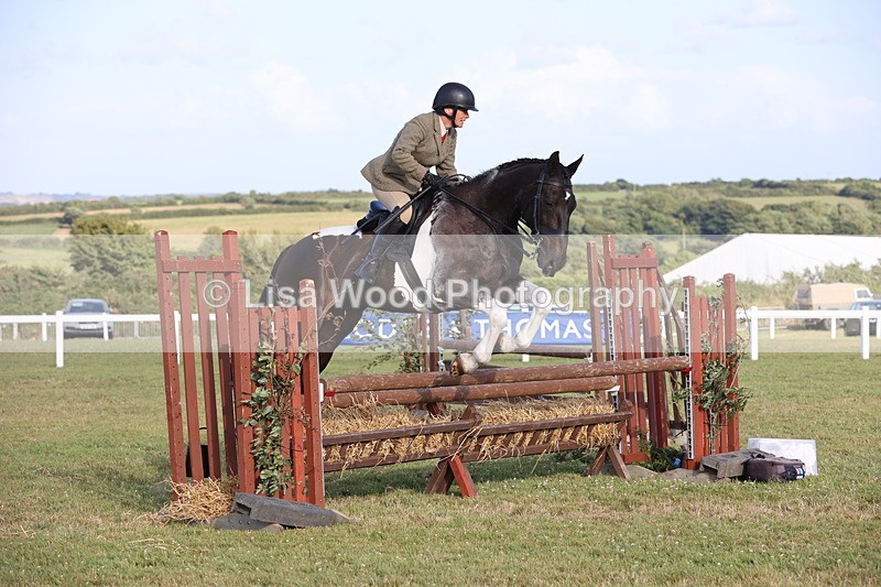 JPP_3452 - Class 22: Working Hunter 90cm