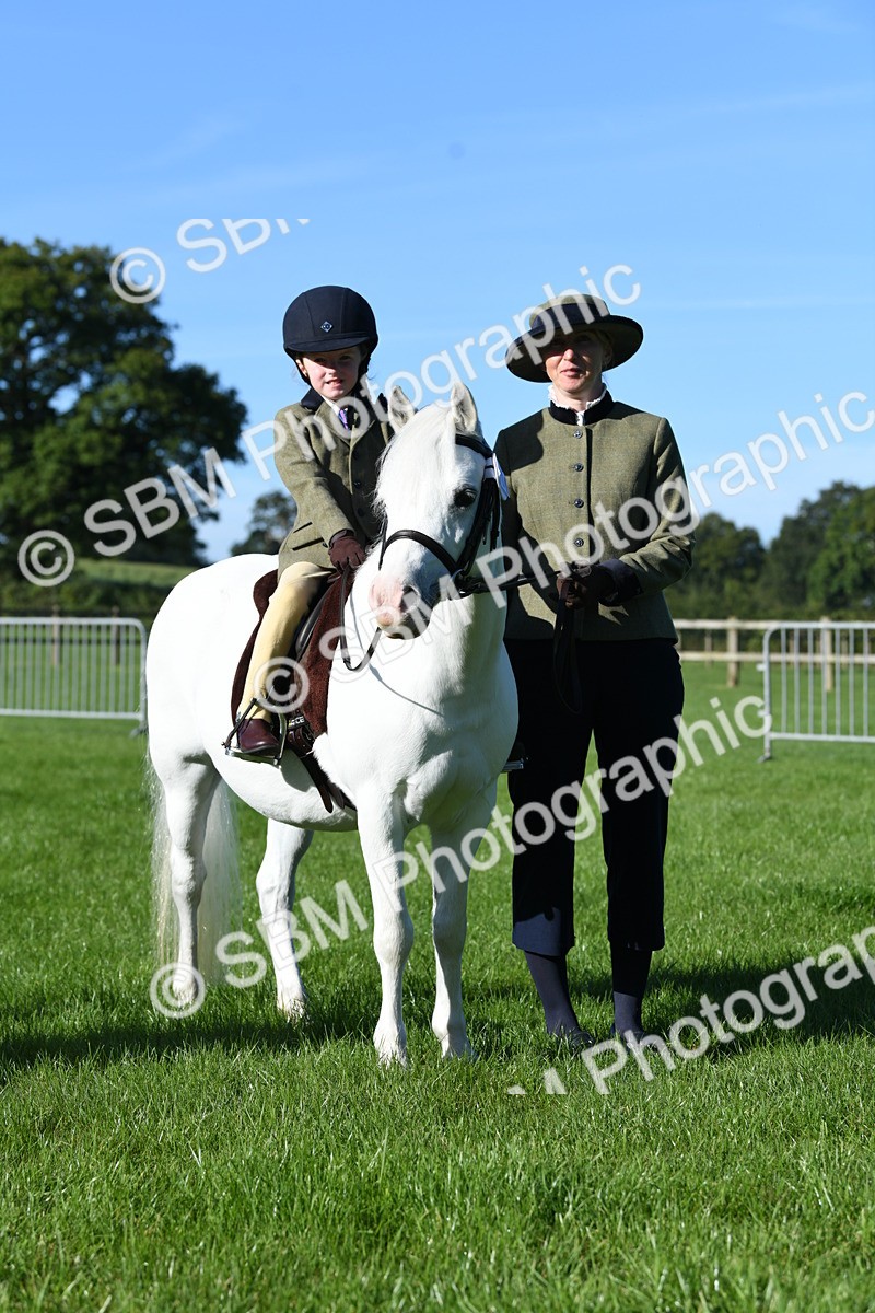 SBM_35410 - S17 - Condition & Turnout - Lead Rein