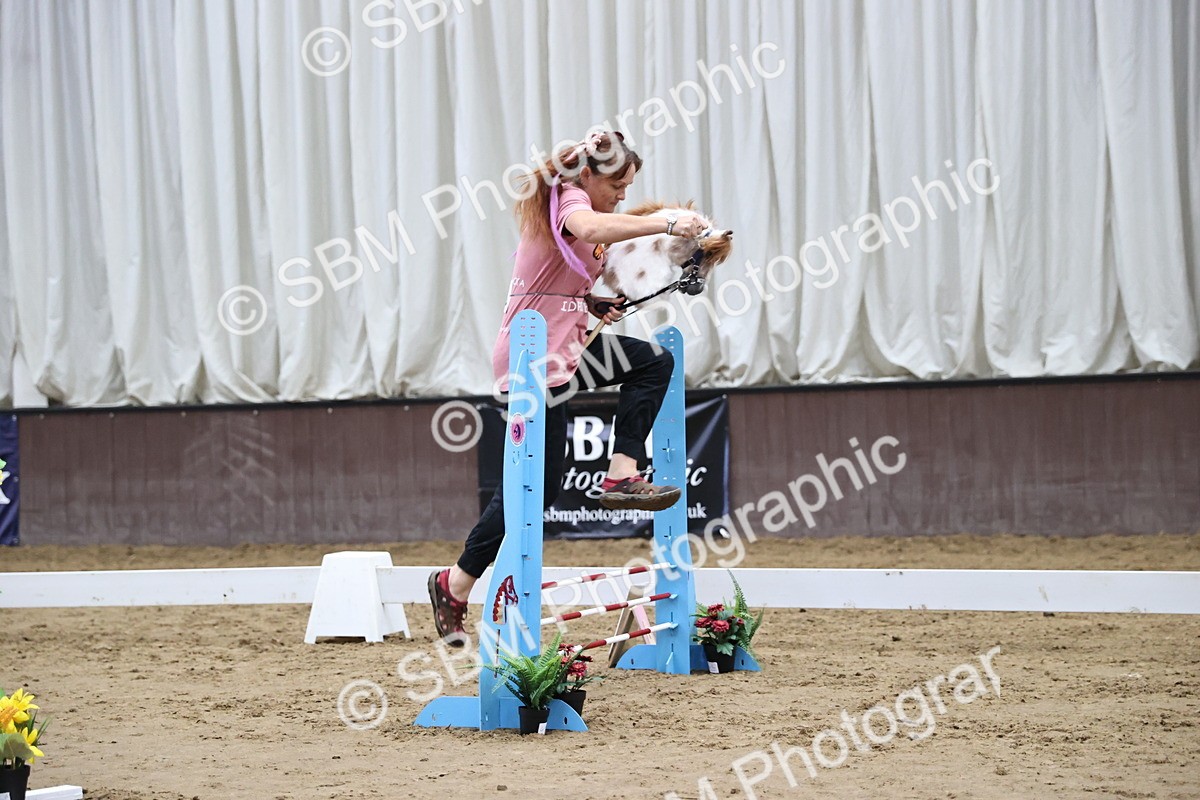 SBM_001504 - Class 9 - 40cm