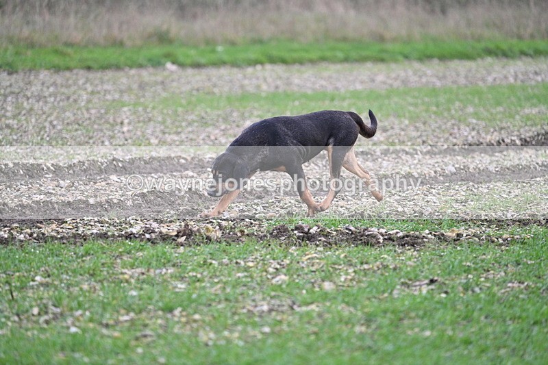 WJ7_0244 - Camera 1 & Last fence
