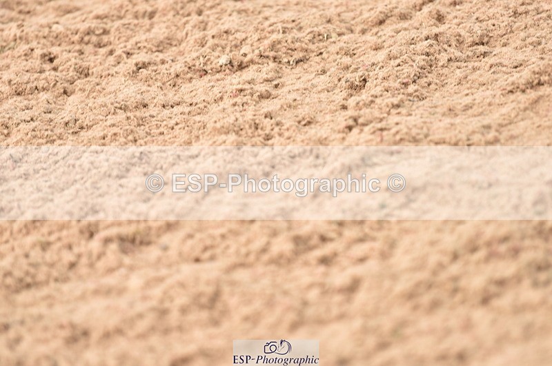 230810A-095232-00152 - Cls 8 British Novice & 90cm Open