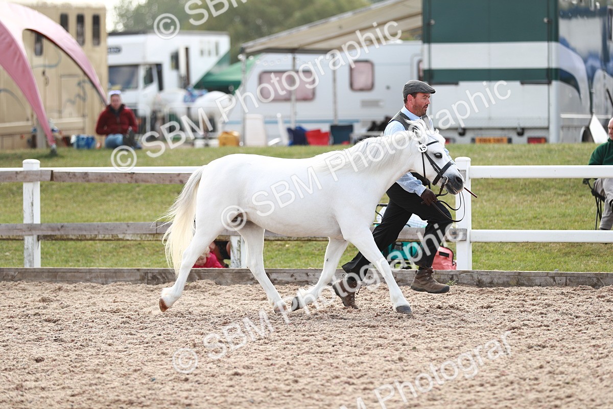 SBM_13831 - Class 209 IH Veteran Pony