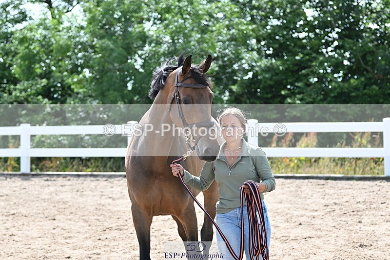 240717A-154954-03077 - Trot Up 3pm to 4pm