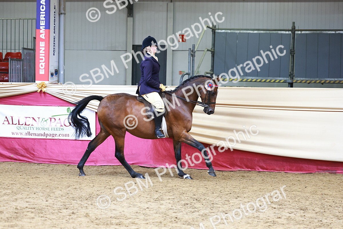 SBM_23715 - Class 905 - Supreme Final - Ridden Veteran