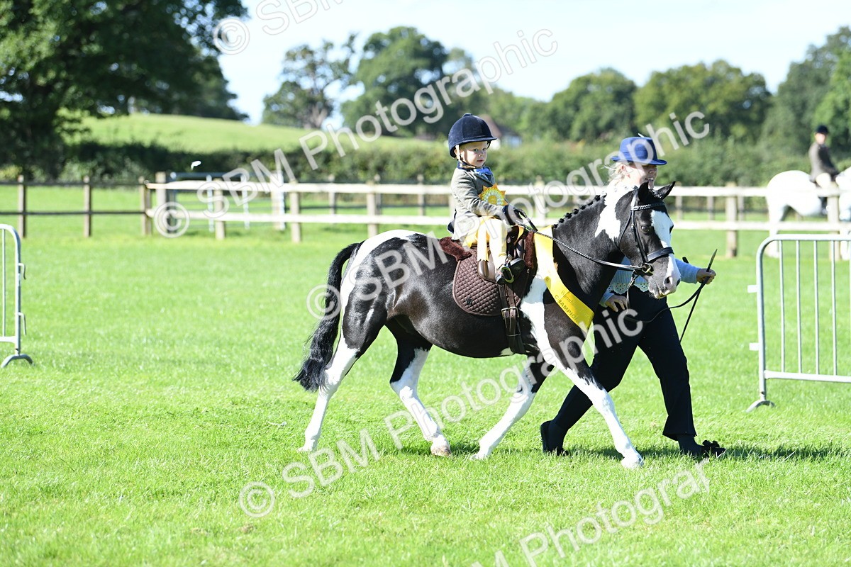 SBM_37102 - S18 - Novice & Newcomers Lead Rein Pony