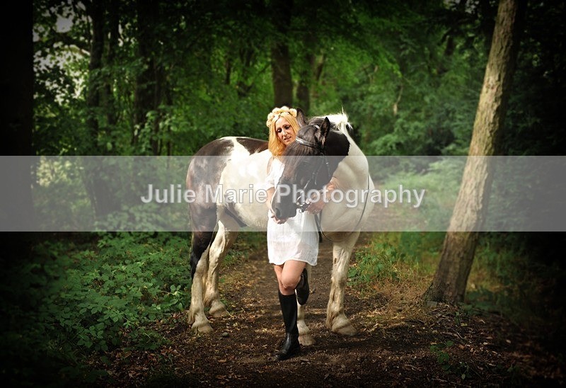 DSC_4703 - Equine Photography
