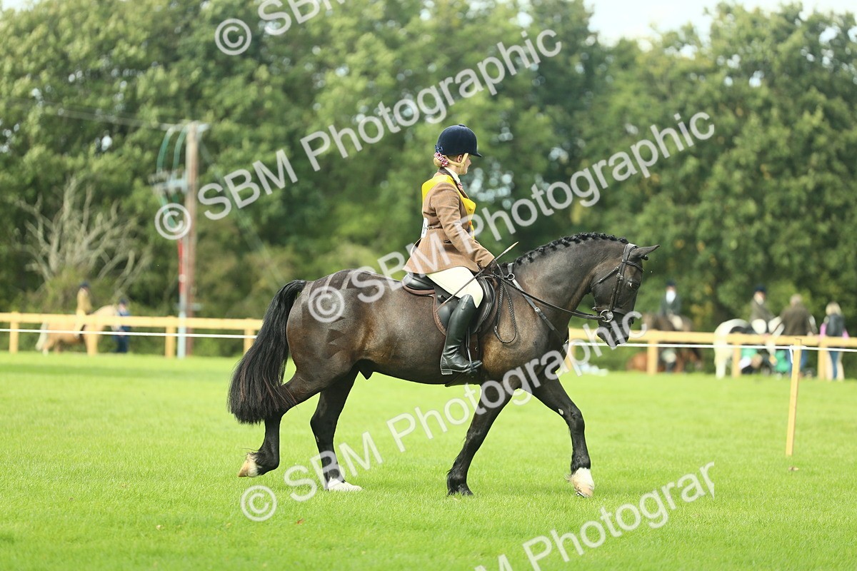 SBM_44868 - Working Hunter Pony Supreme Championship