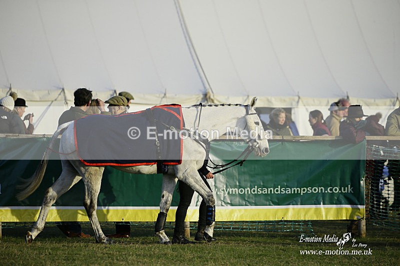 PtP 300122 674 - South Dorset Hunt - Point-to-Point Races 30/01/2022