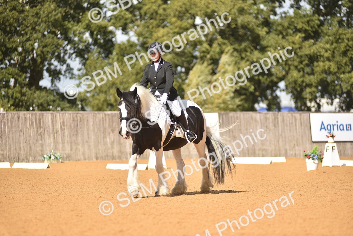 SBM_03385 - D4 - Small Tour Championship Intro 4