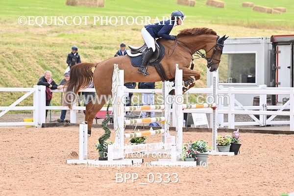 BPP_0333 - CLASS 26 SUN 5 Year Old Non Qualifier