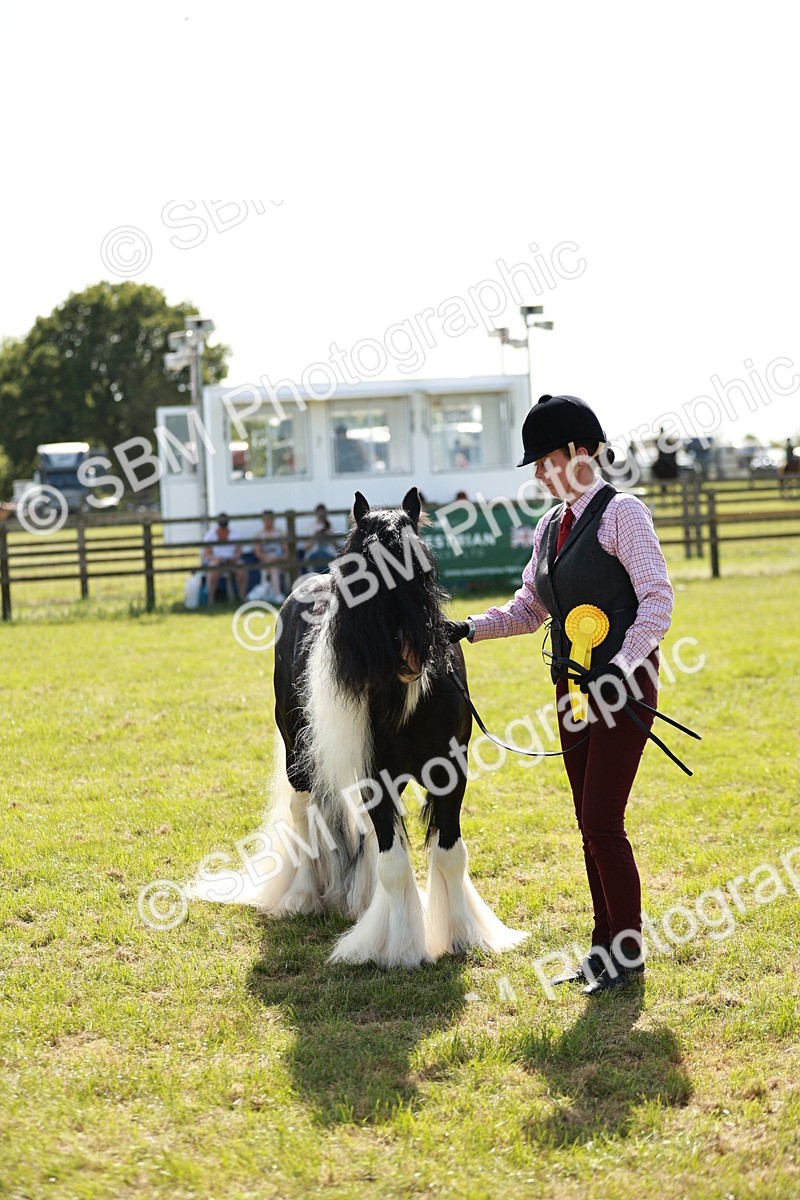 SBM_08923 - Class 63-65 - Traditional Gypsy Cobs In Hand & Ridden