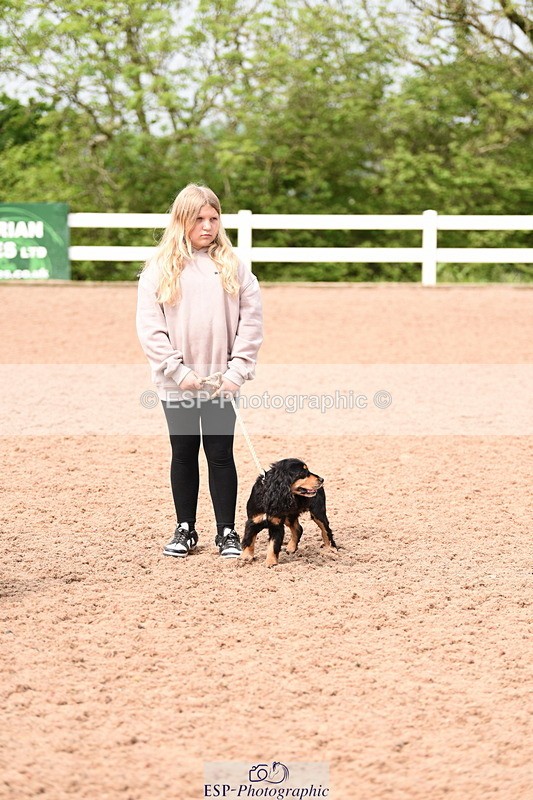 240518A-114022-00797 - Cls 1 Cutest Puppy