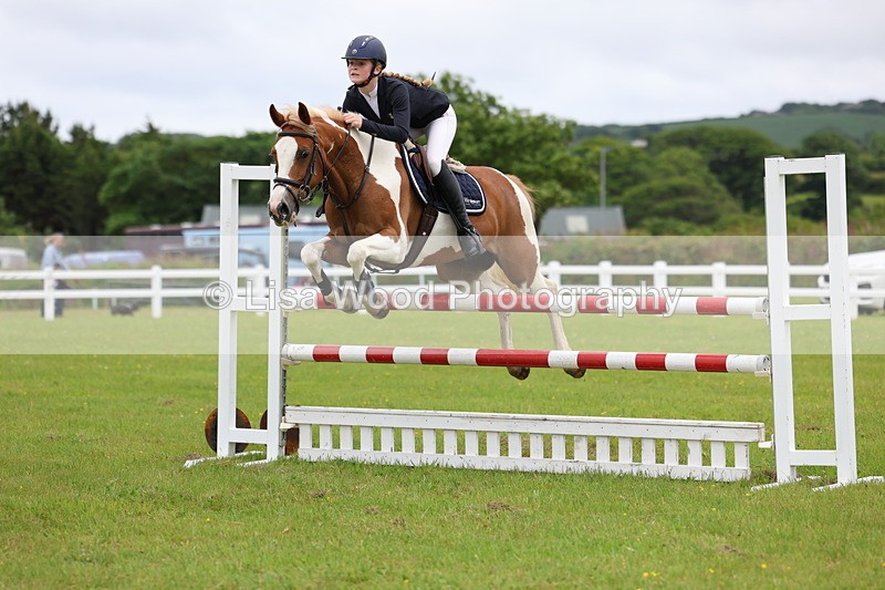 3E7A6715 - Class 10: Pony Newcomers/1m open