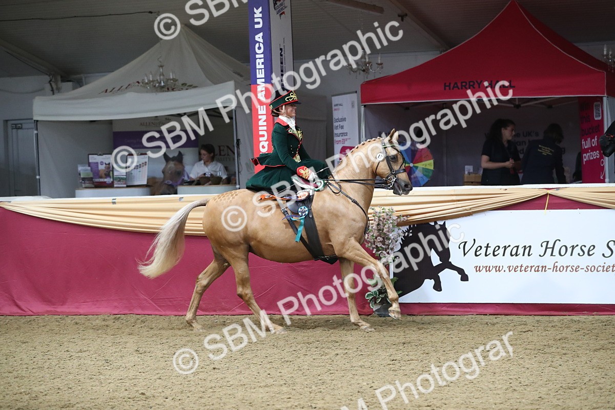 SBM_11646 - Class 105 Ridden Costume- Side Saddle