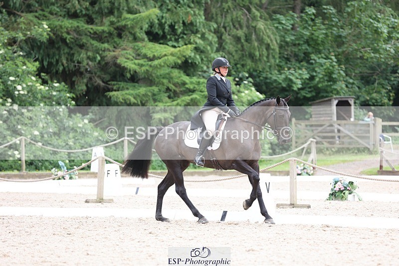 240524-170718-11219 - 376-STORM_BLUE_CURTIS-Phoebe_Buckley