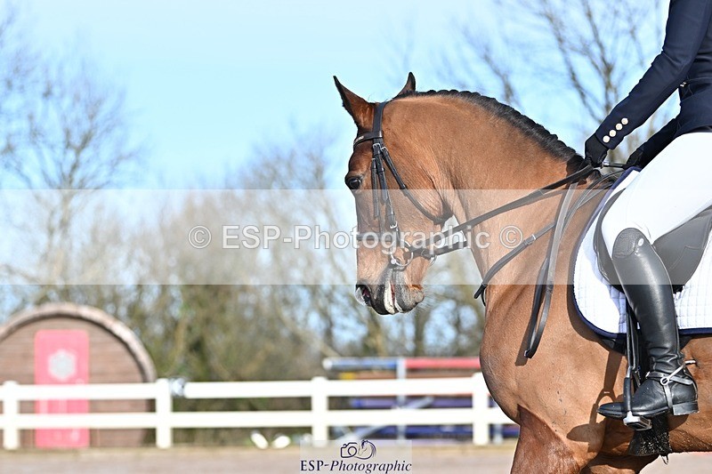 250125-101658-00146 - Dressage - CT Class 4 BE95 (80cm)