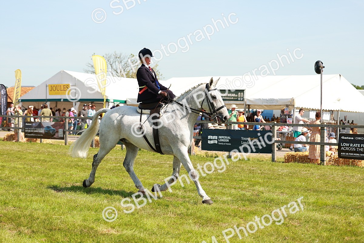 SBM_13420 - Class 70-71 - Side Saddle