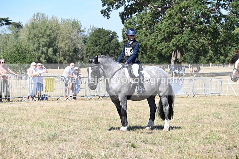 WJ6_8458 - Class 37a Best Loan Pony Ridden