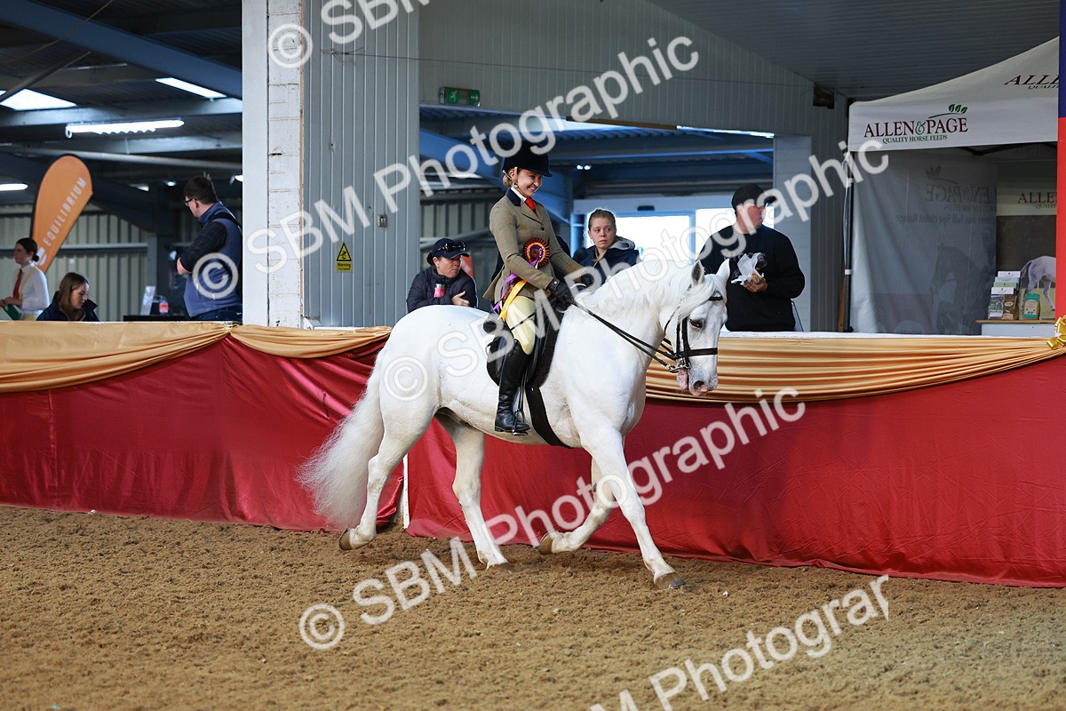SBM_07775 - Class 101 - HOYS Veteran Qualifier - Ridden Diamond