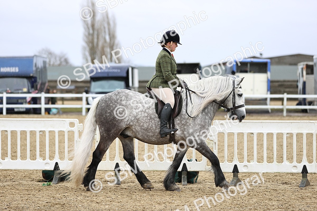 SBM_007555 - Class 31-32 - M&M Confined Novice Small-Large