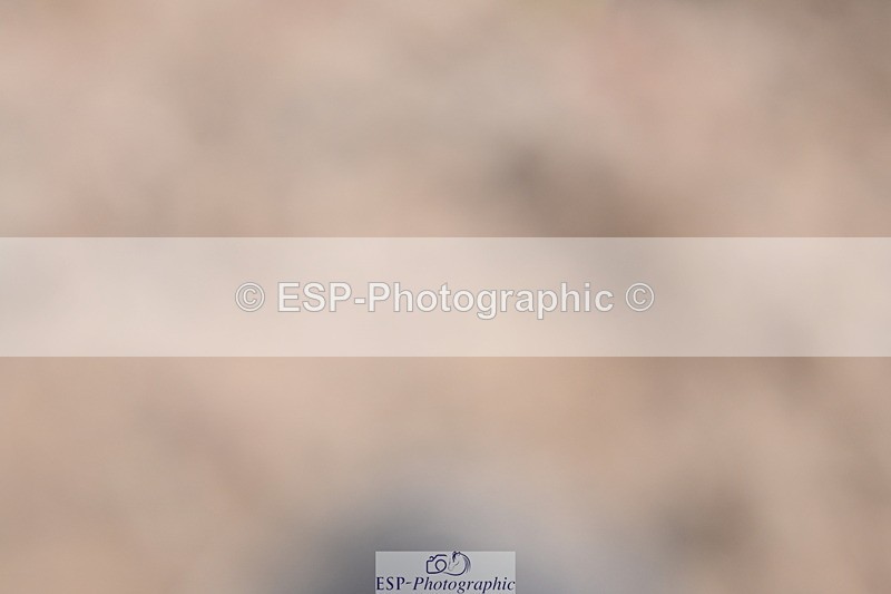 240622A-091735-06749 - Cls 23 BD Prelim 19