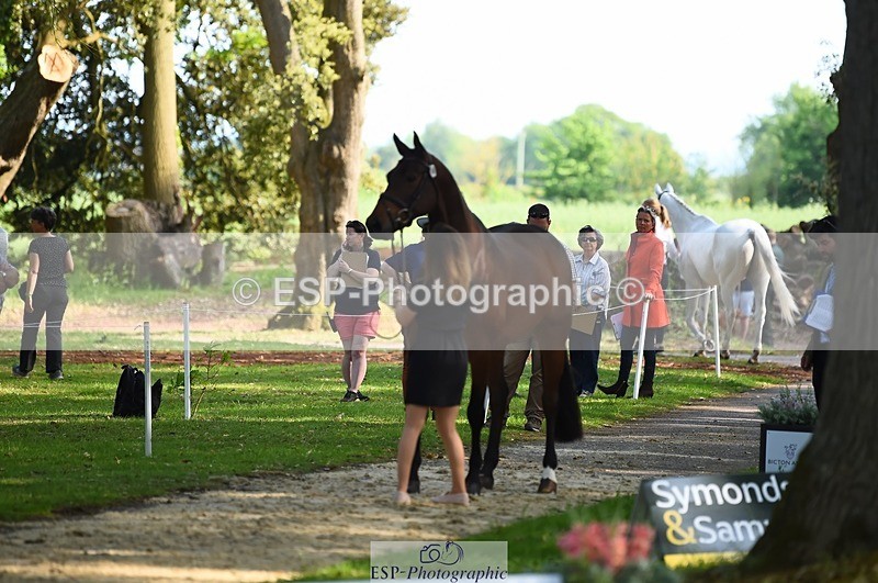 230524-171734-01405 - 168-PARKFIELD_ARTIE_BLOU-Laura_Collett-WEDTrotUp+DR