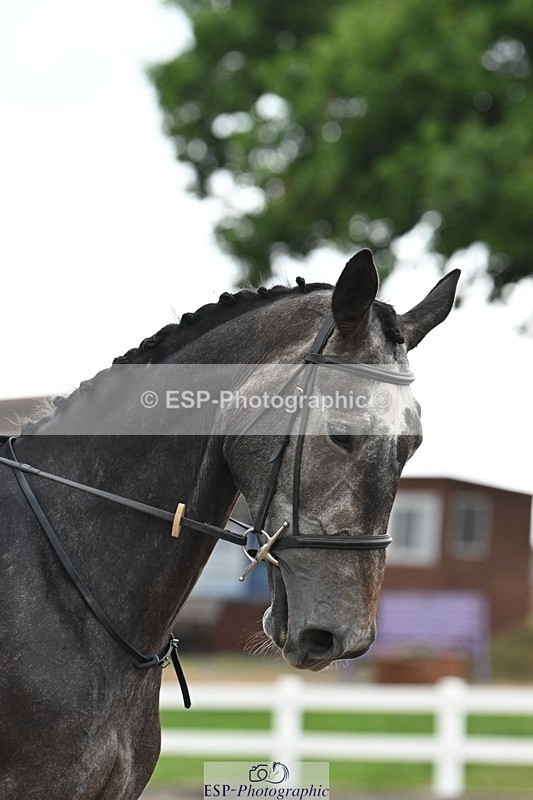 250705-093701-00822 - Intro3 Sections BDI3SEN, BDI3JNR 09.30 to 10.36