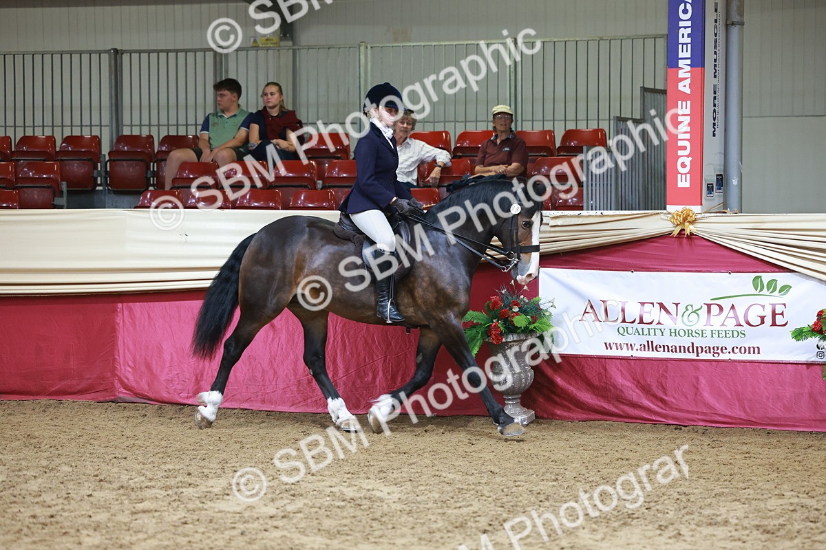 SBM_18538_Class 952 - MM Ridden Supreme Final - Sommerfield