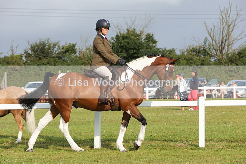 1X9A2820 - Class 25: Ridden Plaited Coloured Horse