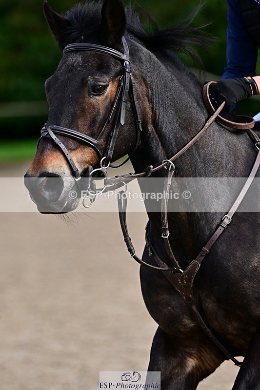 260222A-132952-00973 - 70cm All sections