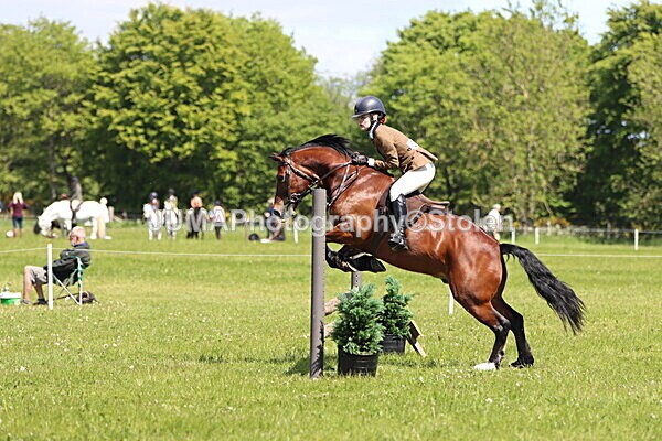 IMG_3735 - Working Hunter