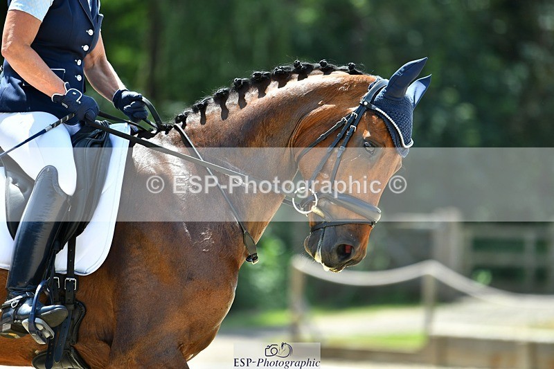 230623-133054-02388 - Cls 4 Novice 37Q 12.45 to End