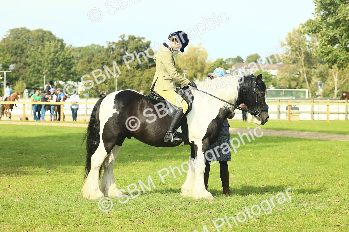 SBM_68963 - S58 - Mini Show Cob Ridden