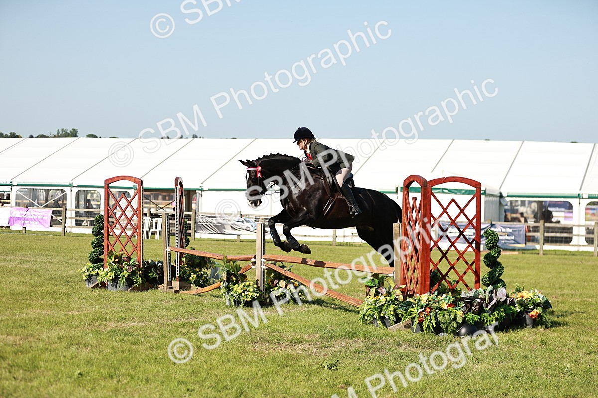 SBM_19192 - Class 115-116 - LIHS BSHA Rising Star Working Hunter & Show Horse