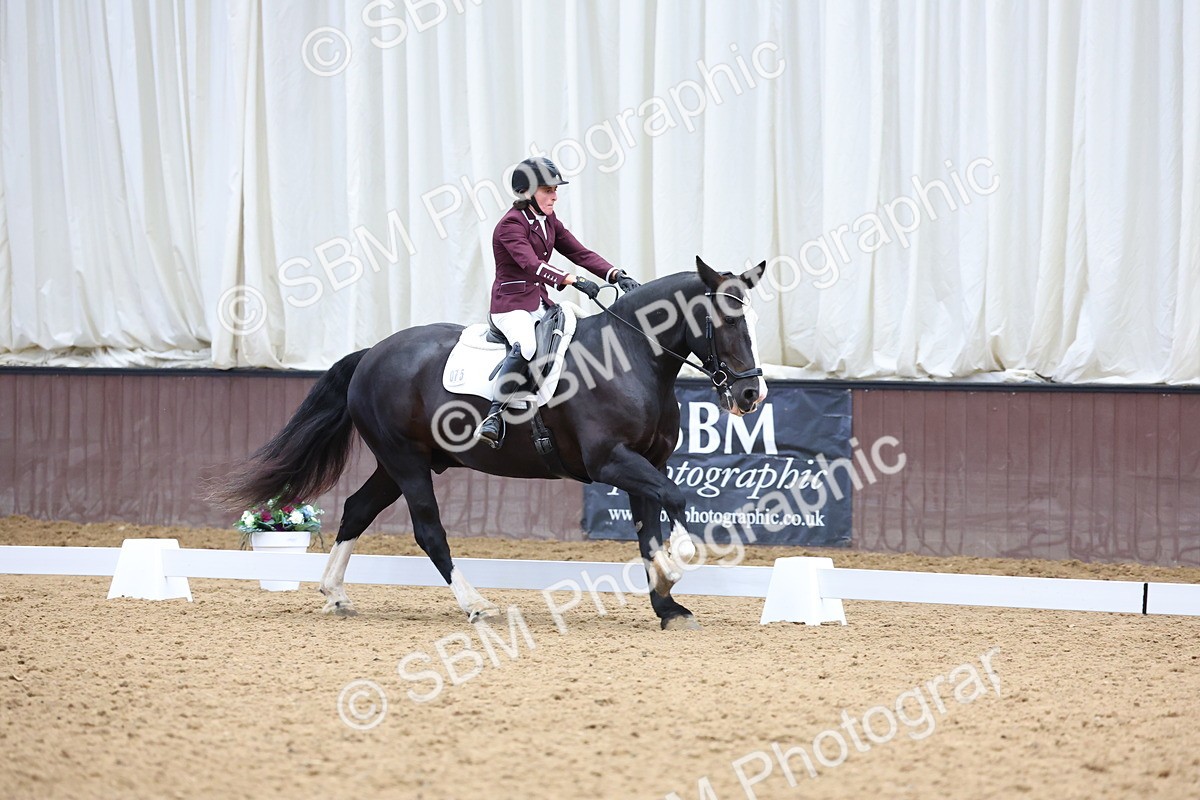 SBM_017172 - Class 16 - Novice FSM - 13.02-13.58