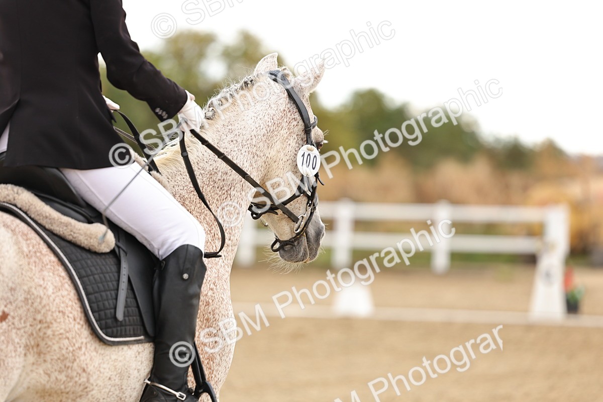 SBM_003256 - Class 3 - N4