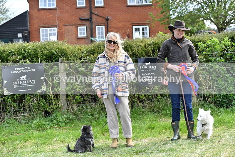 WJ5_0842 - Best in Show Championship