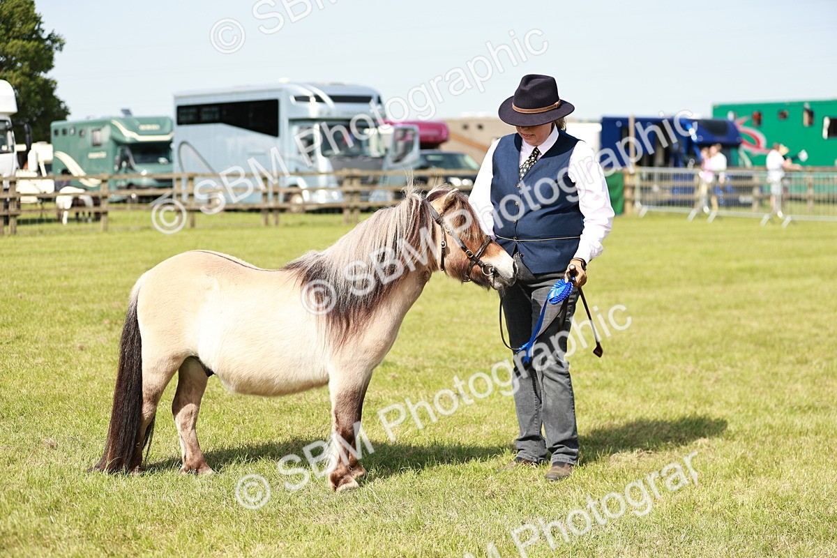 SBM_01789 - Class 14-23 - Mountain & Moorland In Hand Non Welsh
