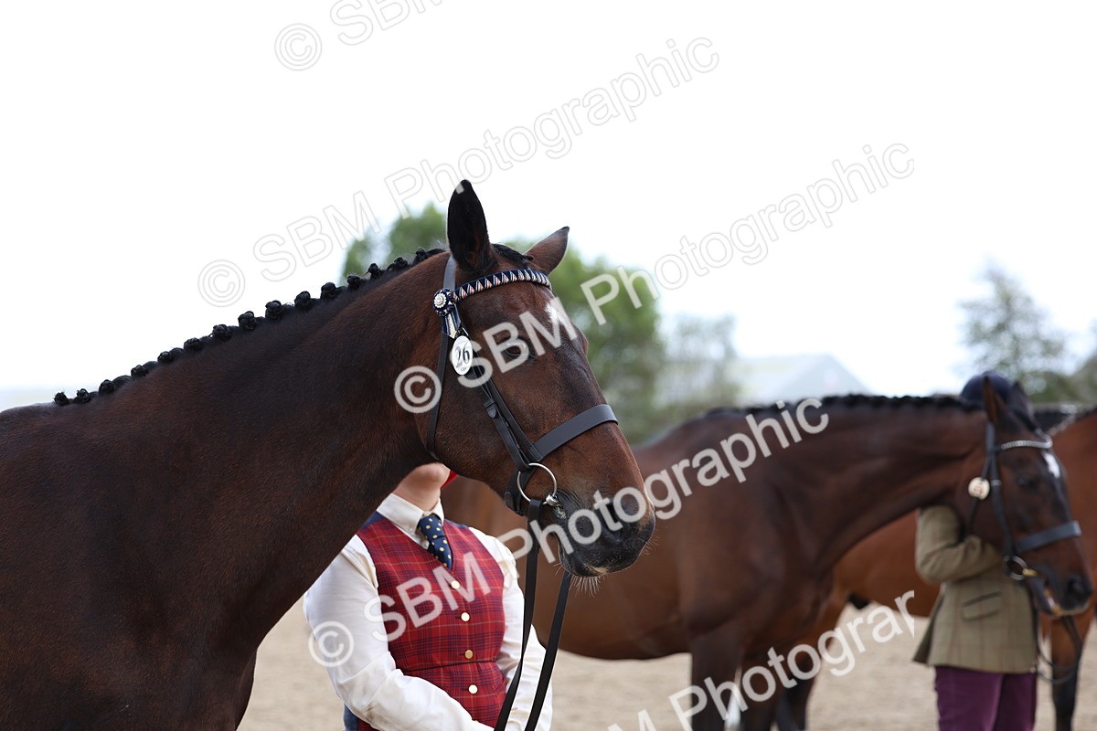 SBM_05127 - Class 27 - IH Competition Horse or Pony