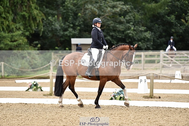 140109A-233512-08509 - 008-Bella.Balian-Beechwood.Joey