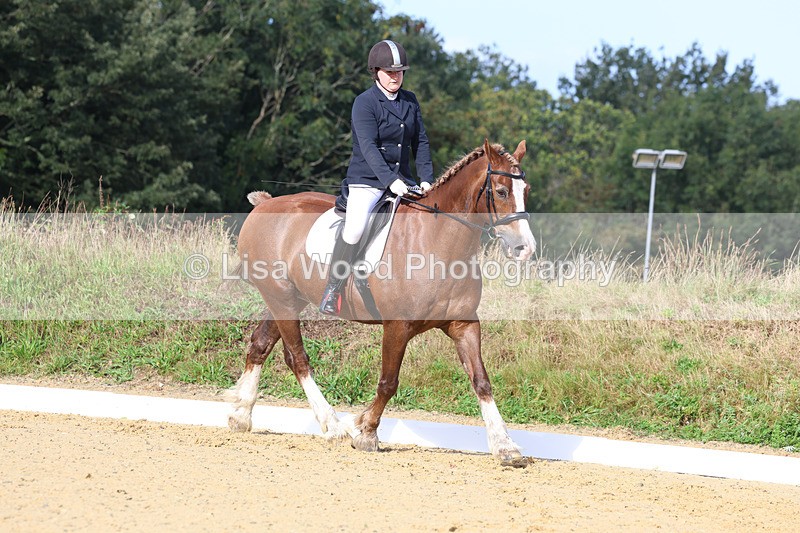 3E7A2234 - Class 1: Intro 4 2024 section A