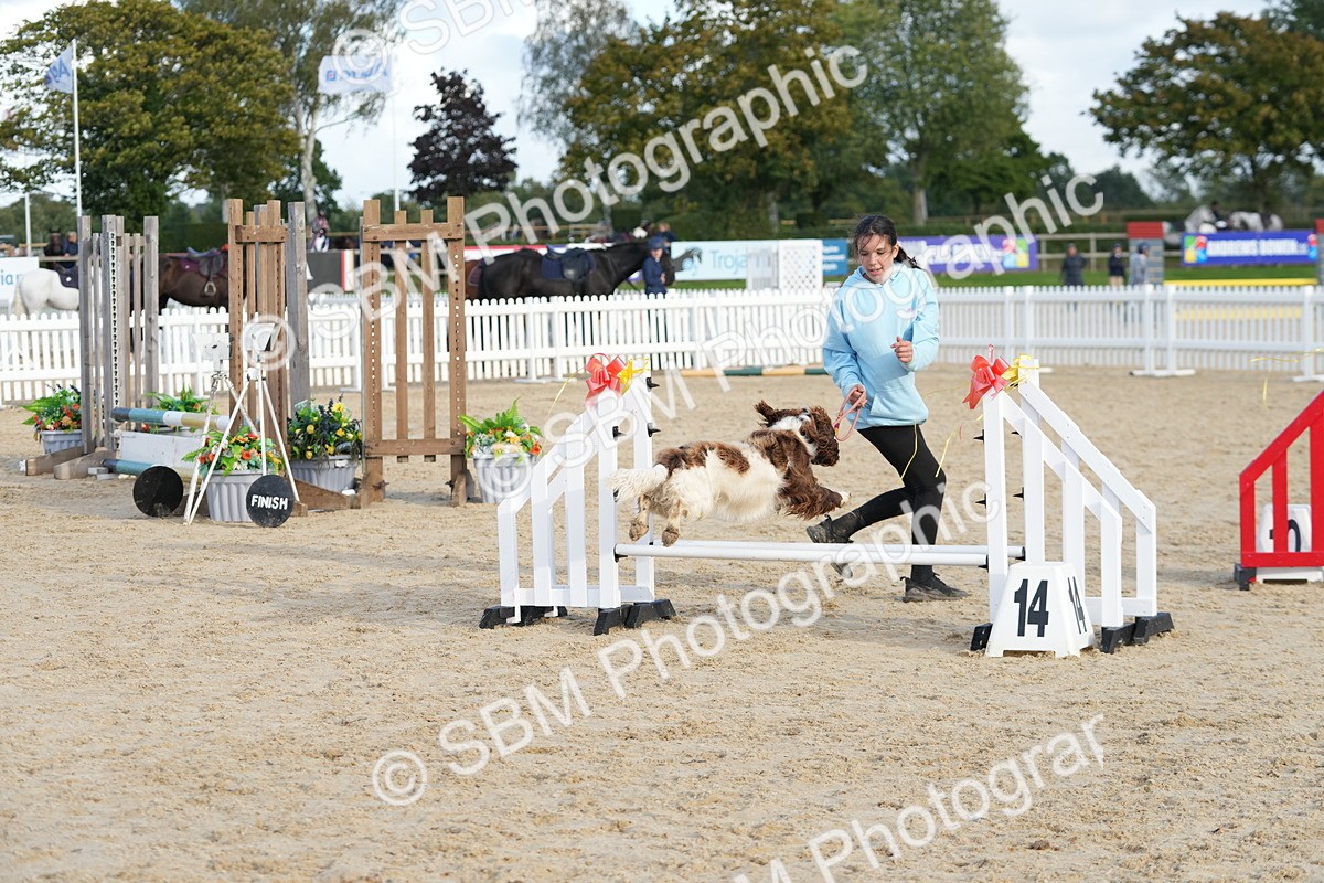 SBM_29166 - J43 - Horse & Hound Open 50cm