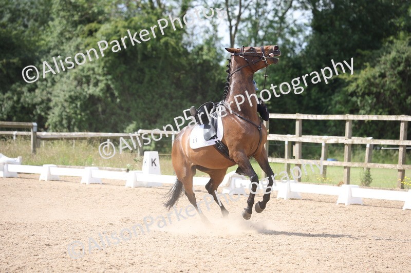 20250614-0278 - Cherwell 14th June 2025 - Unaffiliated Dressage