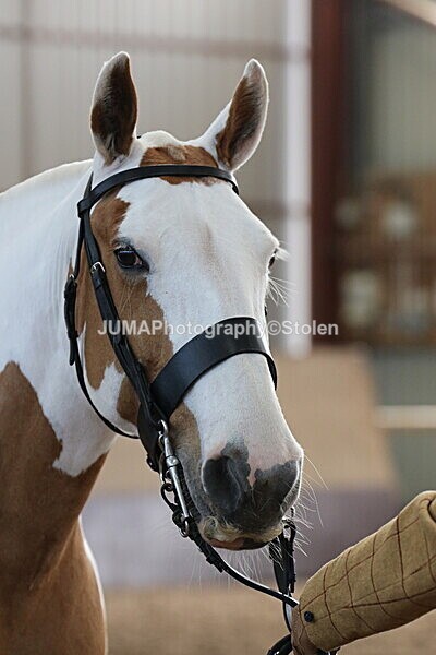 SIAL0102 - Indoor Classes