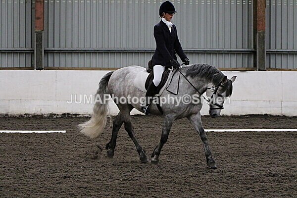 SIAL4054 - CAbin Dressage 5th july 2025